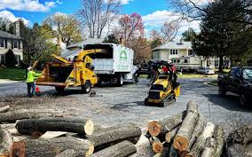 Lawn Grading and Leveling in Littleton Common, MA